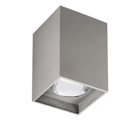 Svietidlá Rabalux 2487 - Stropné svietidlo MADDOX 1xE27/60W/230V