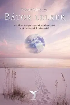 Ezoterika - ostatné Bátor lelkek - Valóban megtervezzük születésünk előtt életünk kihívásait? - Robert Schwartz
