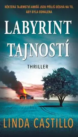 Detektívky, trilery, horory Labyrint tajností - Linda Castillo