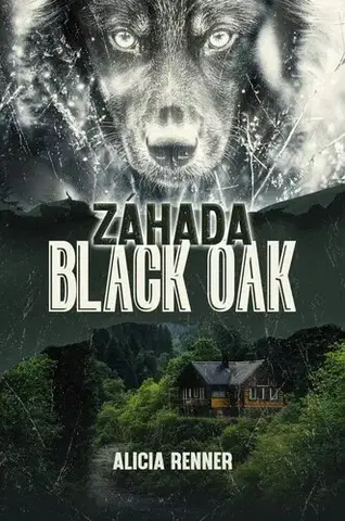 Detektívky, trilery, horory Záhada Black Oak - Alicia Renner