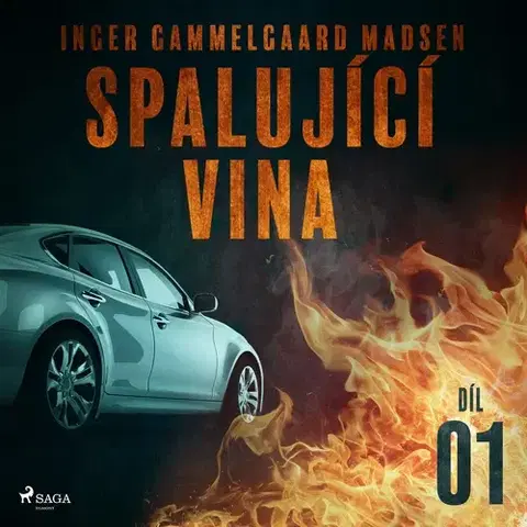 Detektívky, trilery, horory Saga Egmont Spalující vina - Díl 1