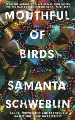 Cudzojazyčná literatúra Mouthful of Birds - Samantha Schweblin
