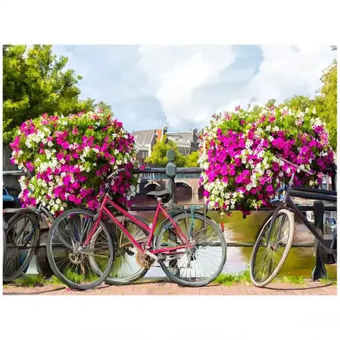 Dekorácie a bytové doplnky Obraz Bikes ST337 60X80