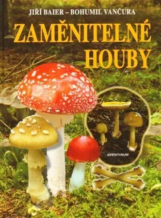 Hubárstvo Zaměnitelné houby - Jiří Baier,Bohumil Vančura