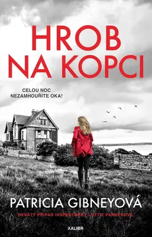 Detektívky, trilery, horory Hrob na kopci - Patricia Gibneyová