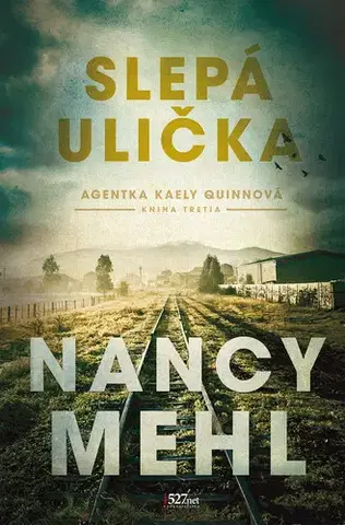Detektívky, trilery, horory Slepá ulička - Nancy Mehl
