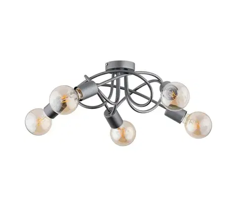 Svietidlá  Prisadený luster BOSTON 5xE27/15W/230V šedá 63193