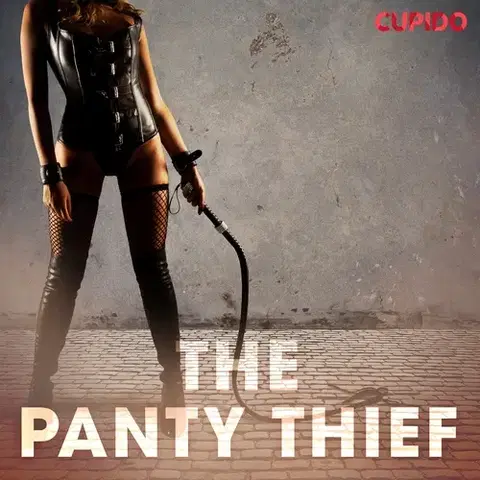 Erotická beletria Saga Egmont The Panty Thief (EN)