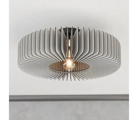 Svietidlá Eglo 900832 - Stropné svietidlo PALOMBAIA 1xE27/40W/230V šedá 900832