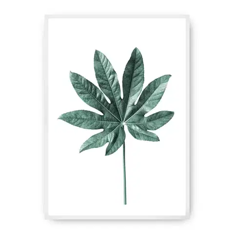 Obrazy Plagát Leaf Emerald Green