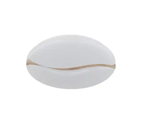 Svietidlá Globo 41790-18 - LED stropné svietidlo LETICIA LED/24W/230V pr. 33 cm 41790-18