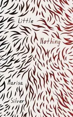 Cudzojazyčná literatúra Little Nothing - Marisa Silver