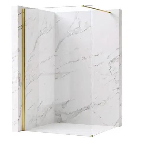 Sprchové dvere REA/S - Sprchová zástena Flexi Transparent / Gold 70 KPL-K99568