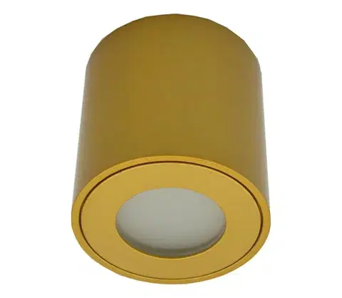 Svietidlá  Vonkajšie bodové svietidlo FARA 1xGU10/30W/230V IP54 zlaté SKU047066