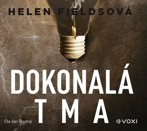 Detektívky, trilery, horory Voxi Dokonalá tma (audiokniha)