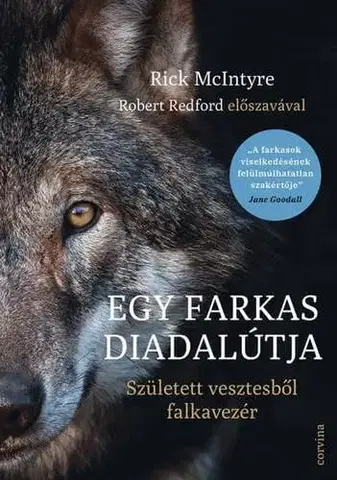 Biológia, fauna a flóra Egy farkas diadalútja - Született vesztesből falkavezér - Rick McIntyre