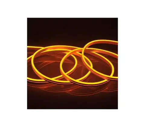 LED osvetlenie  LED Pásik NEON 5m LED/40W/24V oranžová IP65 318046