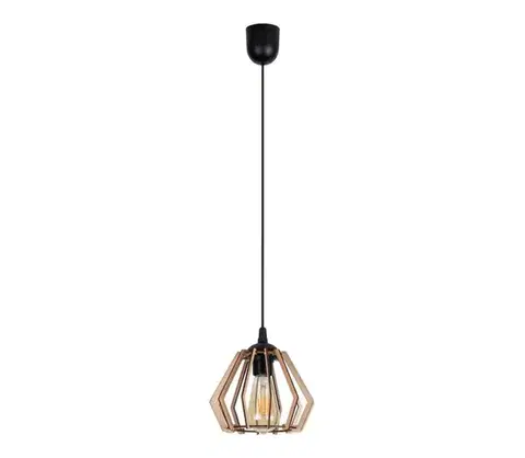 Svietidlá  Luster na lanku BERGO 1xE27/60W/230V čierna 0001