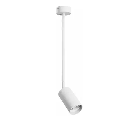Svietidlá  Luster na tyči VARIOSA 1xGU10/10W/230V biela 6027
