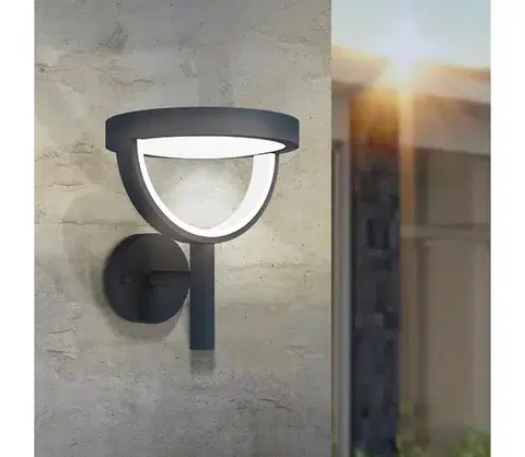 Záhradné lampy Eglo 98234 - Vonkajšie nástenné LED svietidlo FRANCARI-C, 15 W, 230 V, IP44 98234
