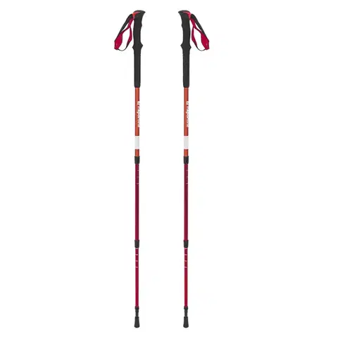 Trekingové palice Trekingové palice inSPORTline Altiplano 100 Pair červené