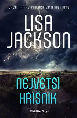 Detektívky, trilery, horory Největší hříšník - Lisa Jackson