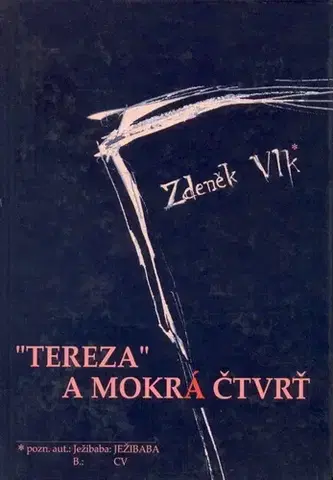 Romantická beletria Tereza a mokrá čtvrť - Vlk Zdeněk