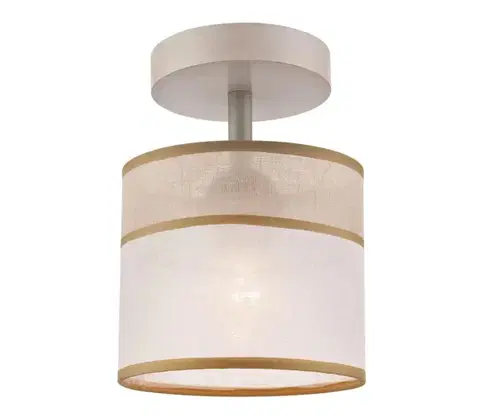 Svietidlá  Prisadený luster ANDREA 1xE27/60W/230V LM 1.55/A