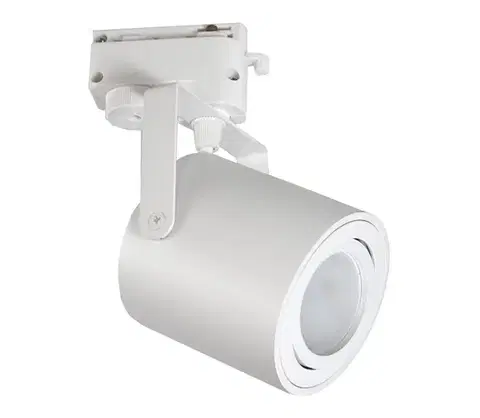 Svietidlá  Bodové svietidlo do lištového systému NILSO 1xGU10/30W/230V biela SKU013365