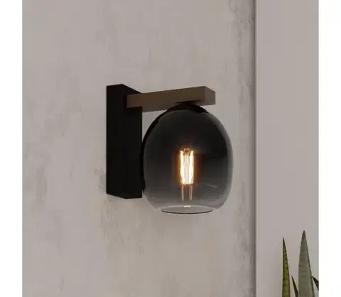 Svietidlá Eglo 900826 - Nástenné svietidlo FILAGO 1xE27/40W/230V 900826