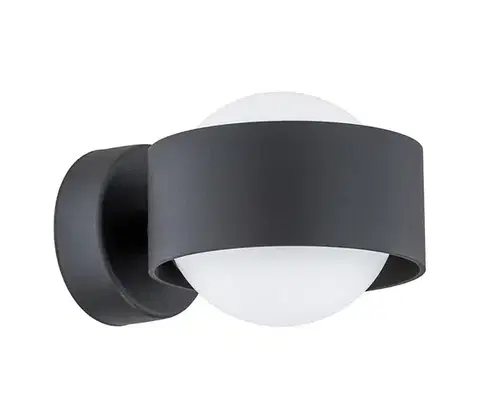 Svietidlá Argon 8059 - Nástenné svietidlo MASSIMO PLUS 1xG9/6W/230V čierna 8059