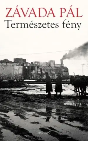 Svetová beletria Természetes fény - Pál Závada