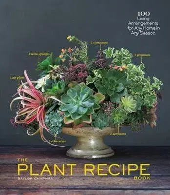 Izbové rastliny Tabletop Plant Recipe Book - Paige Green,Baylor Chapman