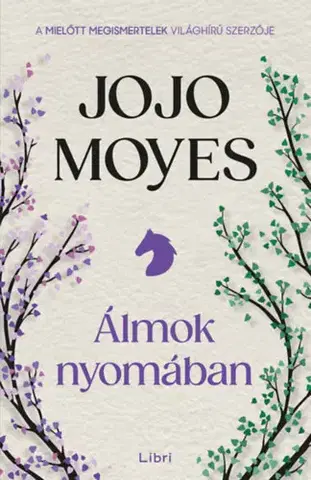 Romantická beletria Álmok nyomában - Jojo Moyes