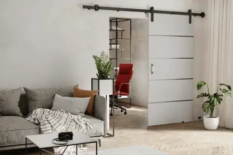Posuvné dvere KIER Posuvné dvere LORNI PLUS | 70 cm Farba: Biela
