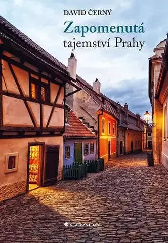 Slovensko a Česká republika Zapomenutá tajemství Prahy - David Černý