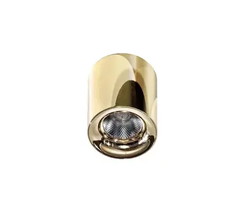 LED osvetlenie Azzardo  - LED Stropné svietidlo MANE LED/10W/230V 