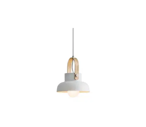 Svietidlá Zam 18190 - Luster na lanku 1xE27/40W/230V 18190