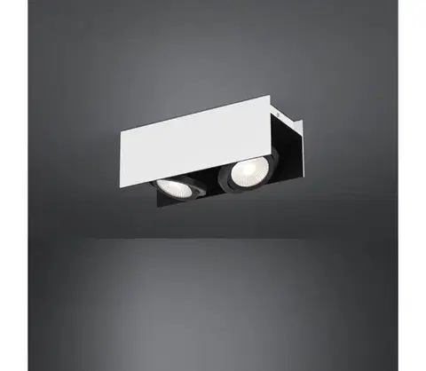 Svietidlá Eglo 39316 - LED Stmievateľné bodové svietidlo VIDAGO 2xLED/5,4W/230V 39316