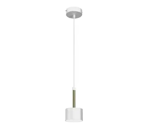 Svietidlá  Luster na lanku ARENA 1xGX53/11W/230V biela/zlatá MLP7754