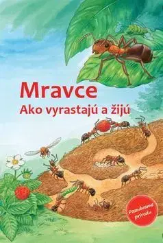 Príroda Mravce - Friederun Reichenstetter