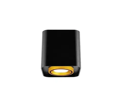 Svietidlá  Stropné svietidlo EGER 1xGU10/10W/230V 313997