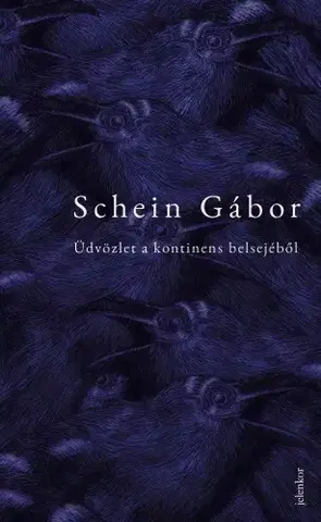 Svetová beletria Üdvözlet a kontinens belsejéből - Gábor Schein