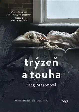 Romantická beletria Trýzeň a touha - Meg Mason