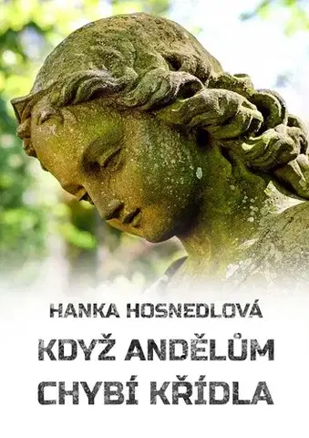 Novely, poviedky, antológie Když andělům chybí křídla - Hanka Hosnedlová