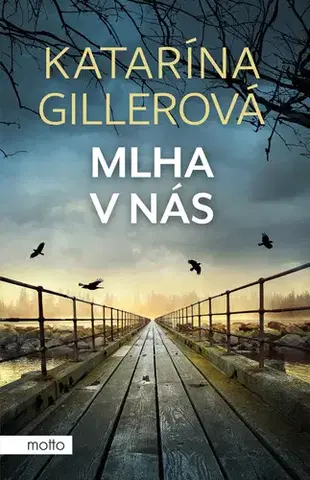 Romantická beletria Mlha v nás - Katarína Gillerová