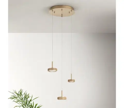 Svietidlá Ondaluce - stmievateľný LED luster na lanku NINA LED/24W/230V pr. 35 cm zlatý SO.NINA/3-ORO