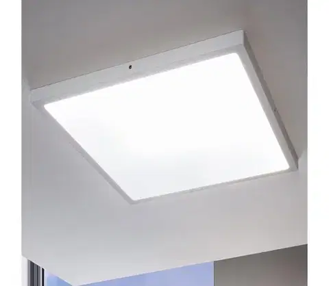 Svietidlá Eglo 97277 - LED stmievateľné stropné svietidlo FUEVA 1 LED/25W/230V 97277