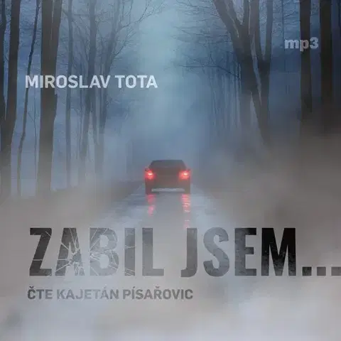 Beletria - ostatné Tebenas Zabil jsem…