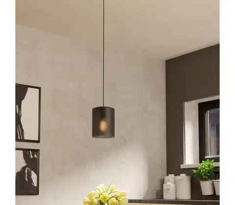 Svietidlá Eglo 901162 - Luster na lanku COLOMERA 1xE27/40W/230V šedá 901162